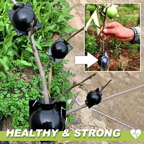 Légrétegező növényi dobozok 3 DB - Image 2