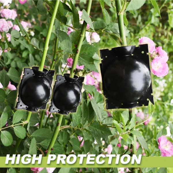 Légrétegező növényi dobozok 3 DB - Image 3