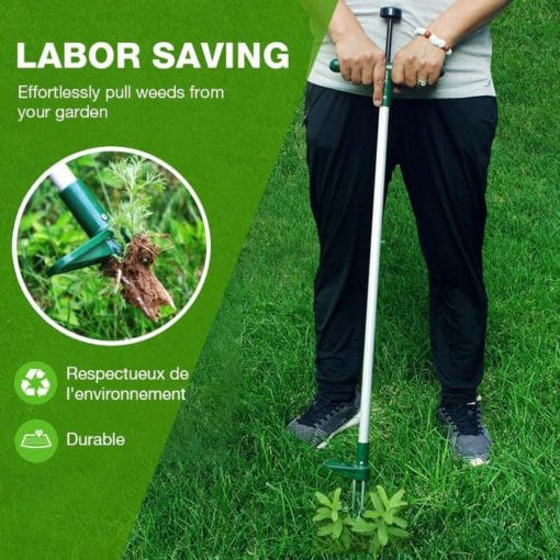 Álló növénygyökér eltávolító eszköz